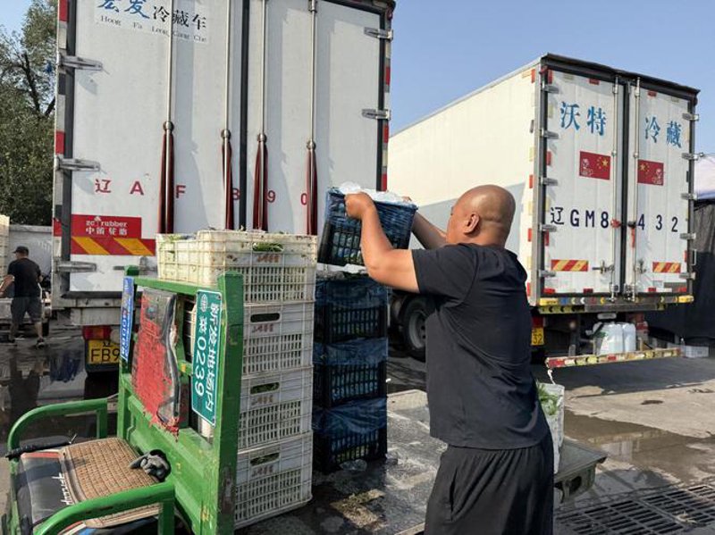 天津的冬季农品选购宝典