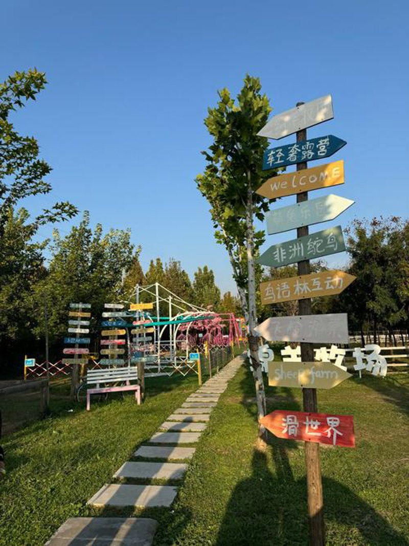 探秘天津农副产品市场：新鲜的味蕾享受